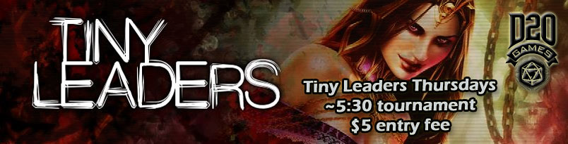 Tiny-Leaders-Banner